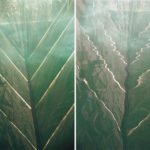 correspondencias-daniel-duhau-marcelo-brodsky-12